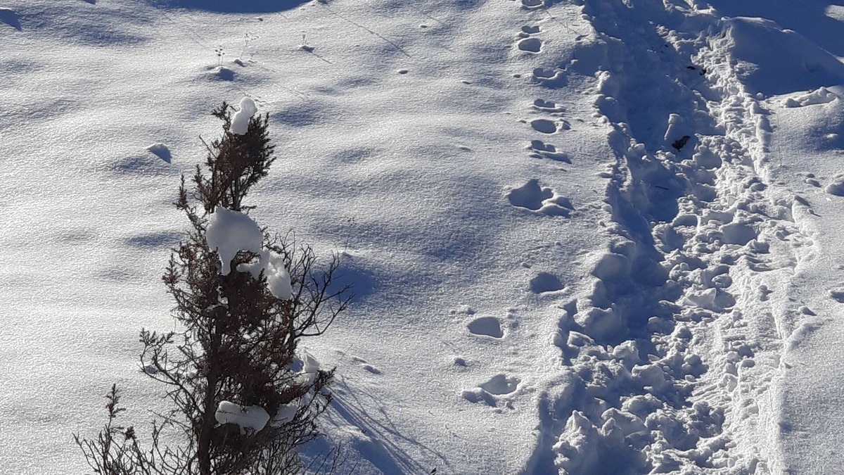 Tay Valley Ski Chalet | Longview: Private Hilltop Chalet on 88 Acres