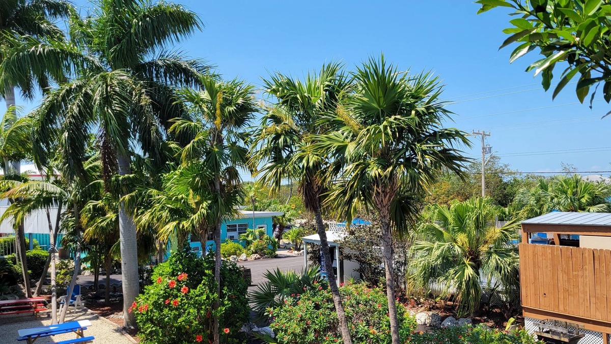 Ramrod Key Hotel | Looe Key Reef Resort