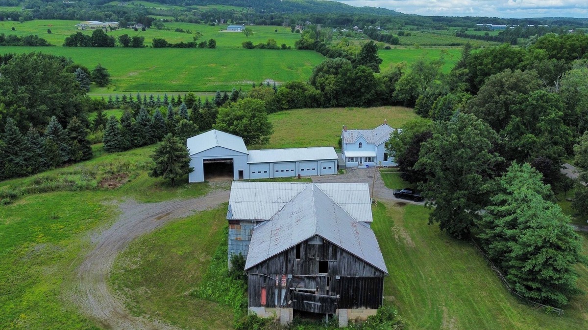 Halton Regional Municipality Other | Looking for a getaway in the woods close to the city?(pet friendly, party?)
