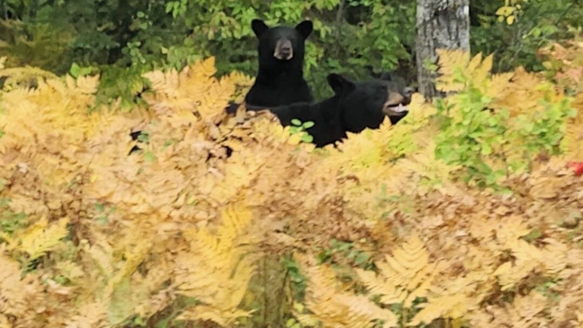 Manitoba House | Loons Nest: Hot Tub, short walk to the lake/beach, 5 min drive to Grand Beach
