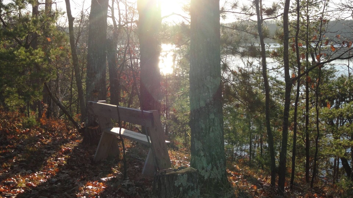 Hayward House | Loons on the spring lake