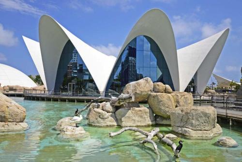 Aiora Apartment | Lore Loft Valencia