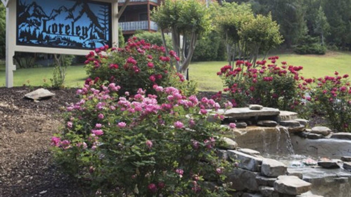 Helen Resort | Loreley place