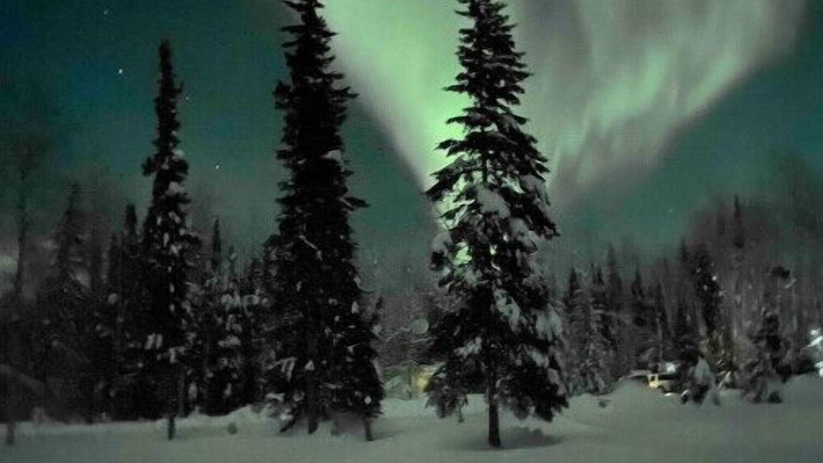 North Pole House | Lou’s Bear Den clean, quiet, comfortable. Close to everything you’ll needn
