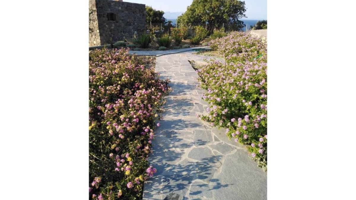 Nisyros House | Loutra Olive Garden Stone House #3