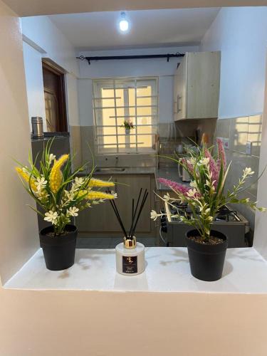 Nakuru Apartment | Love Nomad - 1 Bedroom - Nakuru
