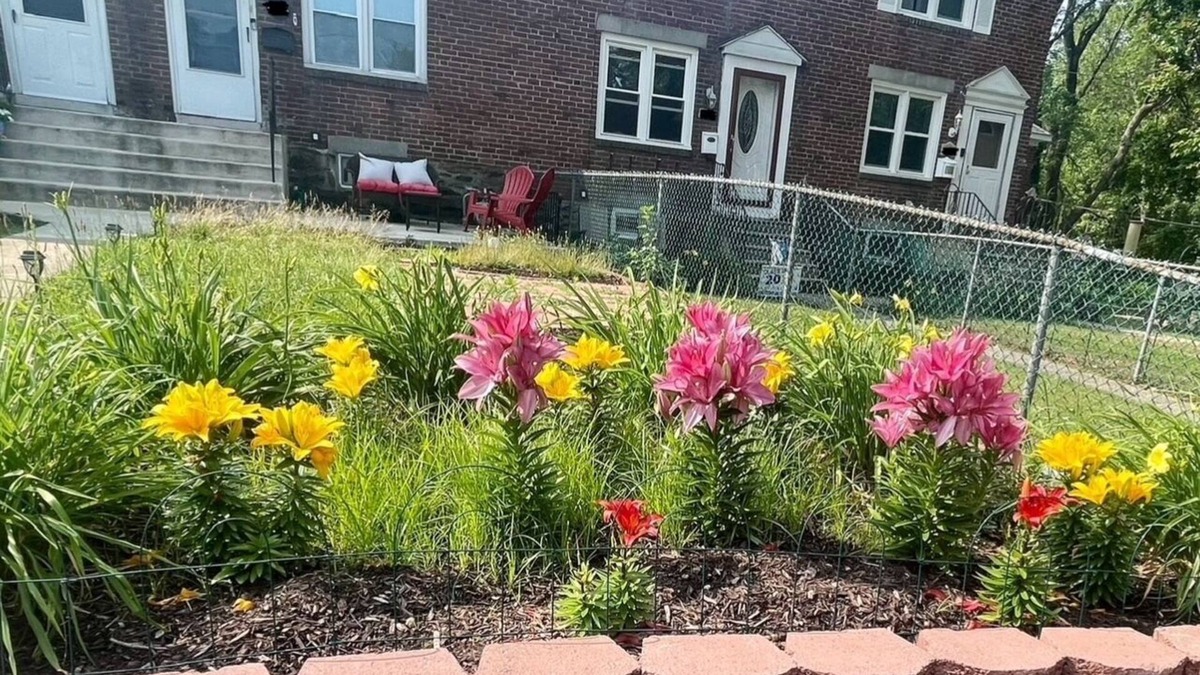 Upper Darby House | Lovely 3-bedroom home away from home. Near Philly and Airport.