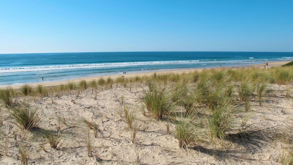 Biscarrosse Plage Apartment | Lovely apartment for 6 people with pool, WIFI, TV, terrace, pets allowed and parking