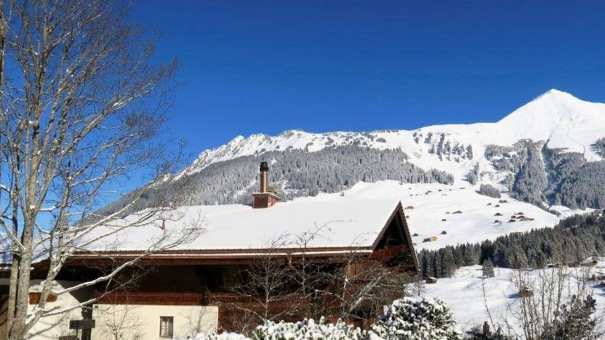 Lauenen Apartment | Lovely apartment for 4 guests with WIFI and balcony