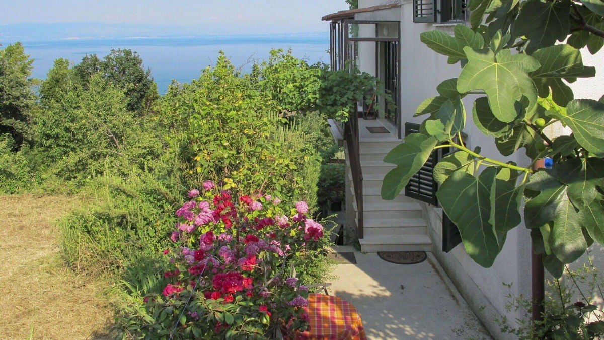 Mosenice Apartment | Lovely apartment for 5 guests with WIFI, A/C, TV and terrace