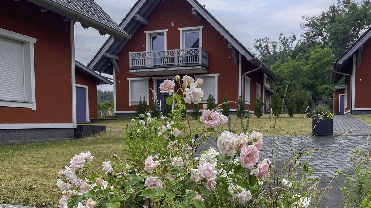 Wustrow Apartment | Lovely apartment for 6 people with WIFI, TV, terrace, pets allowed and parking