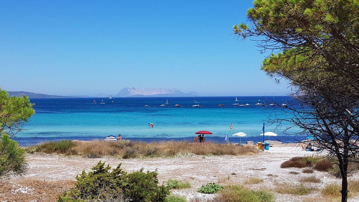 Schifoni Apartment | Lovely apartment for 6 guests with WIFI, A/C, TV, patio and pets allowed