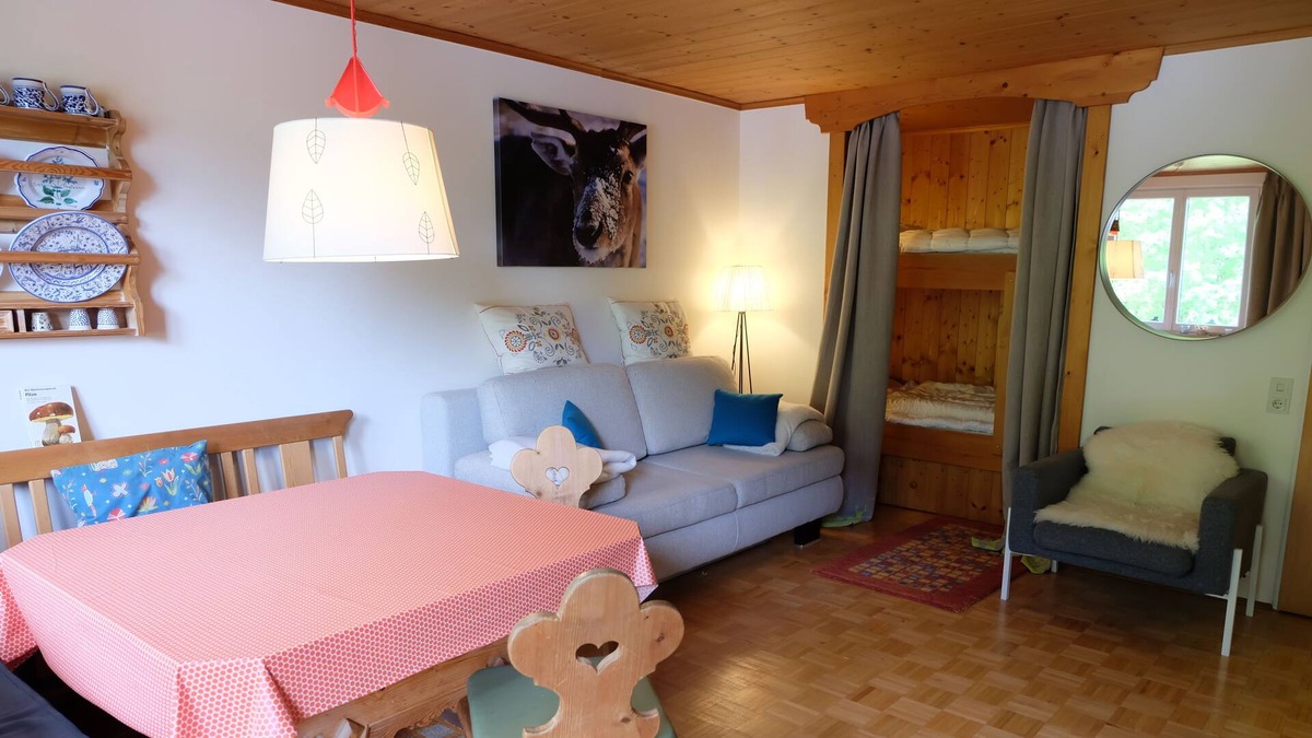 Werfenweng Apartment | Lovely Appartement with view to the Hochkönig Mountain