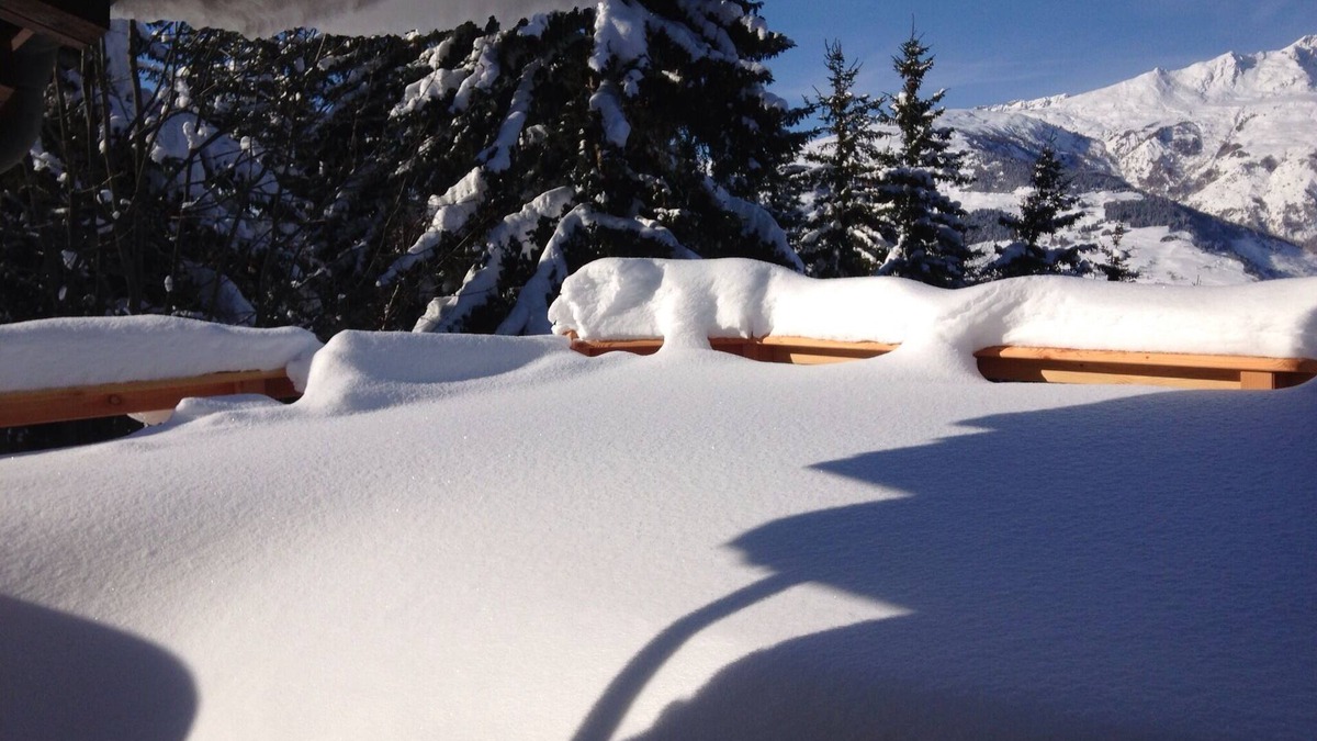 Arc-1600 Ski Chalet | Lovely chalet in the forest- Les Arcs 1600