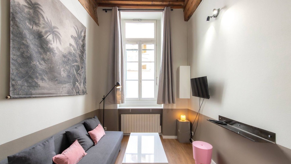 Griffon - Royale Apartment | Lovely cozy studio - Pentes of Croix Rousse