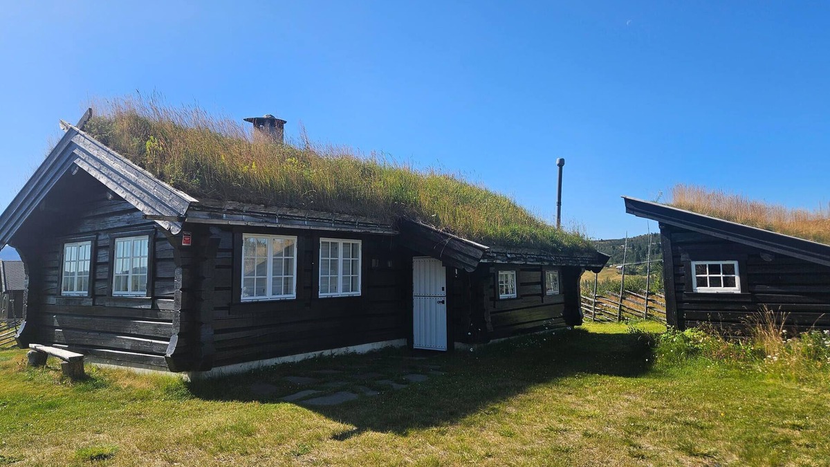 Vestre Slidre House | Lovely home in Røn with house a mountain view