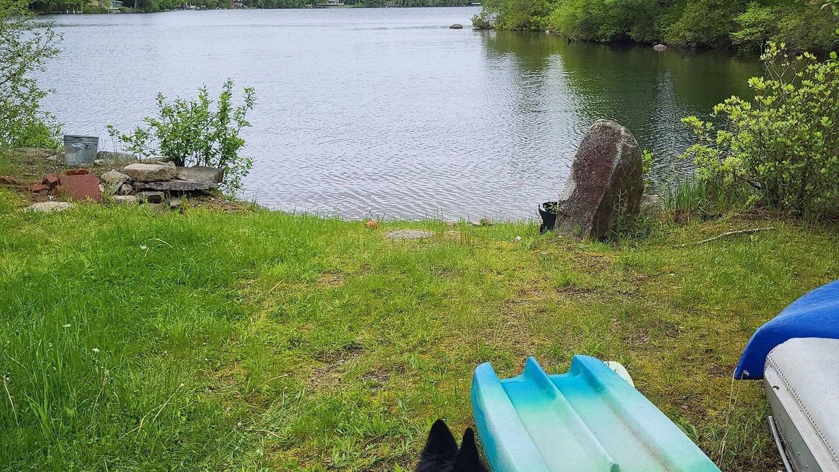 Lincoln Cottage | Lovely Lakefront private 2-bedroom cottage with WiFi in Lincoln
