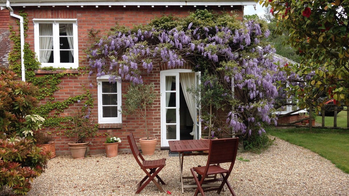 New Forest District Cottage | Lovely little cottage in the heart of the New Forest National Park