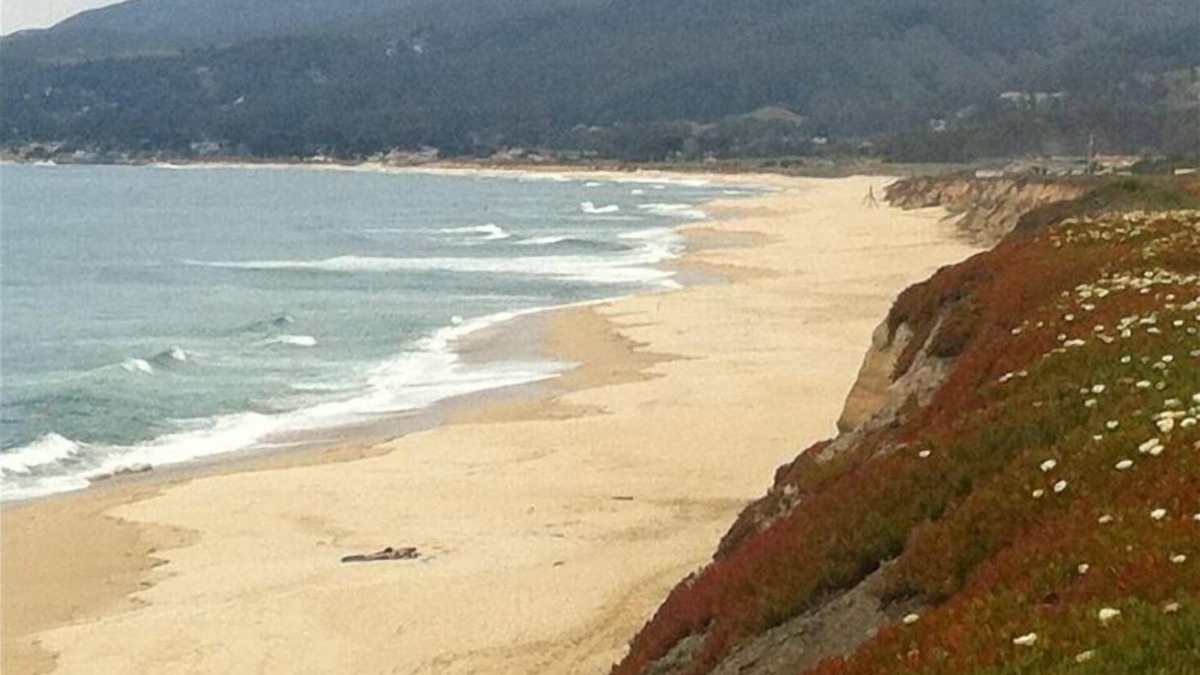 Half Moon Bay House | Lovely Remodeled Beach House Next to Ocean, Hiking & Biking. Very Clean!