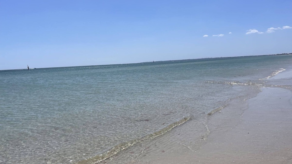 Carrum Apartment | Lovely renovated holiday home in beachside suburb , pets welcome