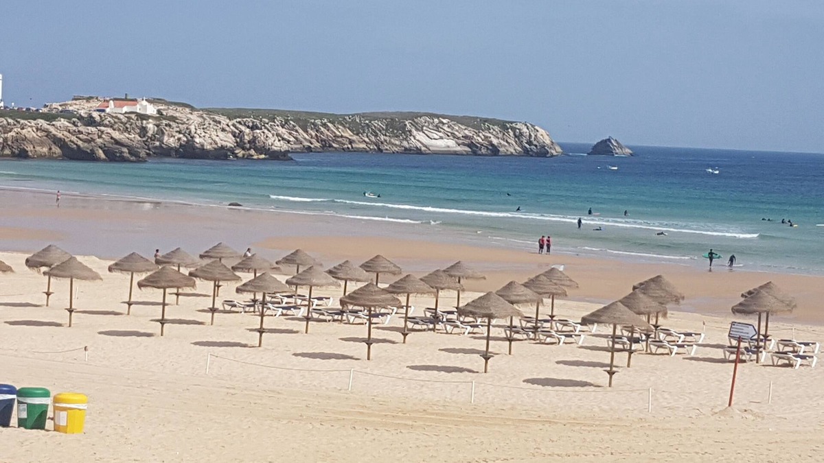 Ferrel Apartment | Lovely Studio in Capital Surf