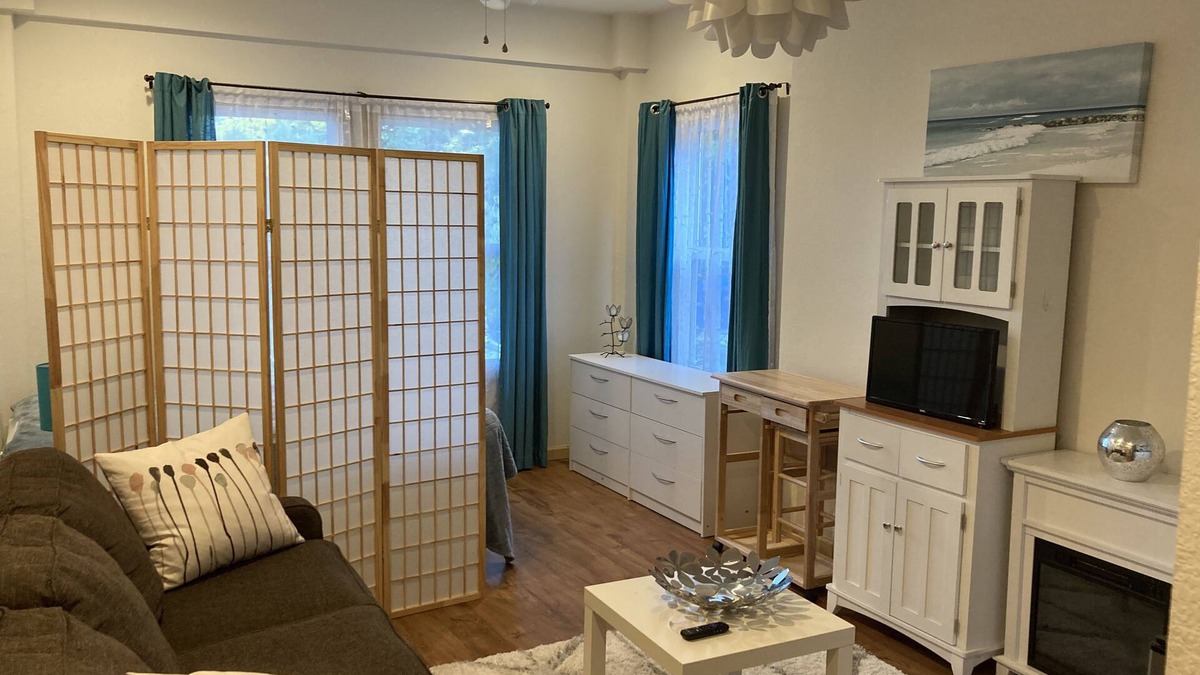 Colington Apartment | Lovely studio apartment with an indoor electric fire place