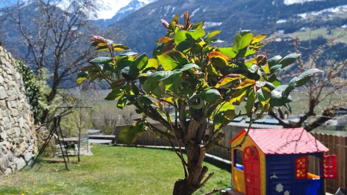 Silandro Apartment | Lovely vacation apartment for active people and those seeking peace and quiet in Silandro/Schlanders.