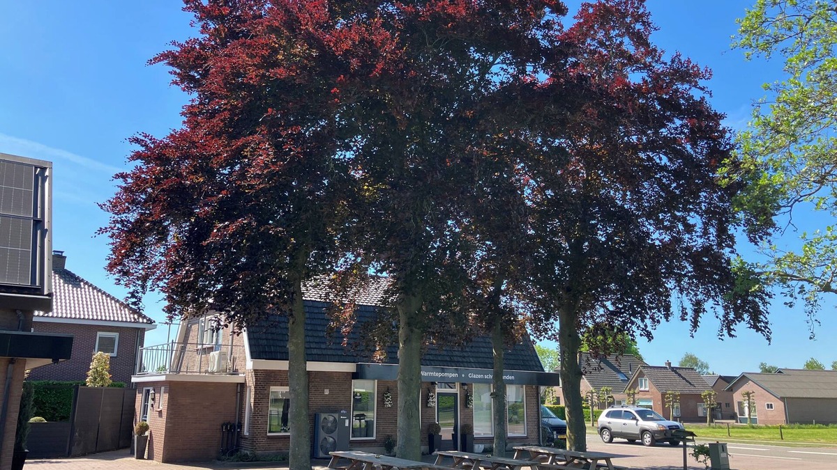 Municipality of Barneveld House | Lovely velvet vacation home (under the beech)