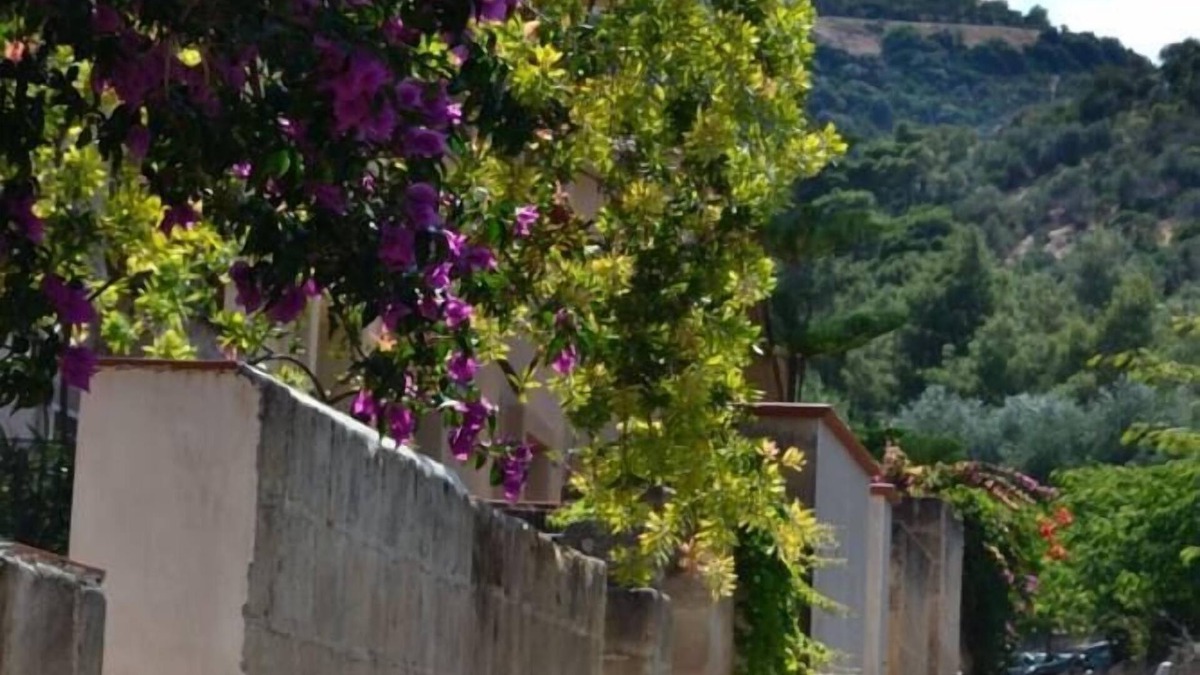 Vieste House | lovely weeks in Pugnochiuso - the pearl of Gargano