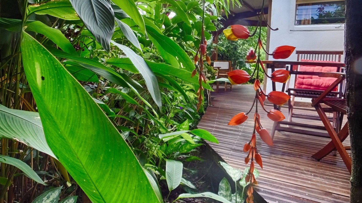 Pointe-Noire Cottage | Lover's nest in the heart of a rich tropical garden
