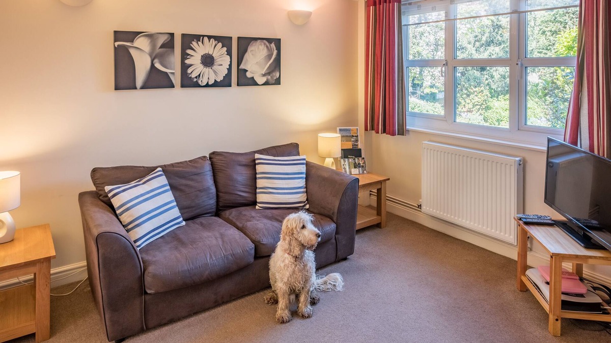 Shanklin Apartment | Luccombe Villa Holiday Apartments - The Den apartment