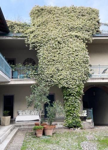 Comabbio Apartment | Lucio Fontana's experience