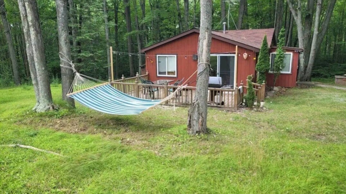 Harrison Cabin | Lucky Bear Lodge. Secluded Cabin in the Woods, Beach access. Pet friendly