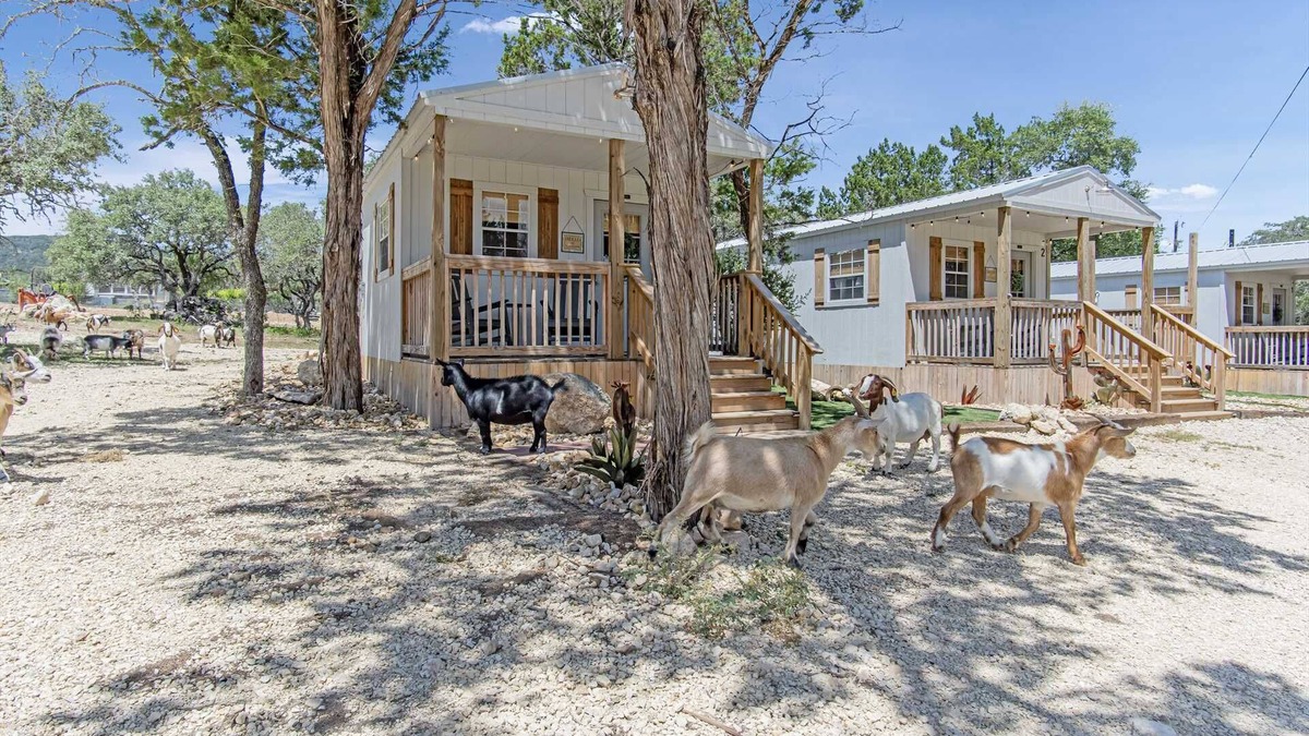 Bandera House | Lucky Star Ranch - Starlight