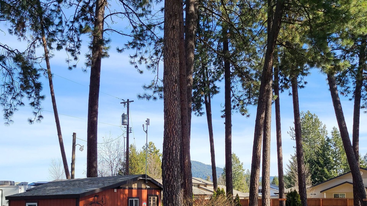 Coeur d'Alene Cabin | Lumberjack Bunkhouse...in the Heart of Coeur d'Alene, Idaho. Sleeps 8.