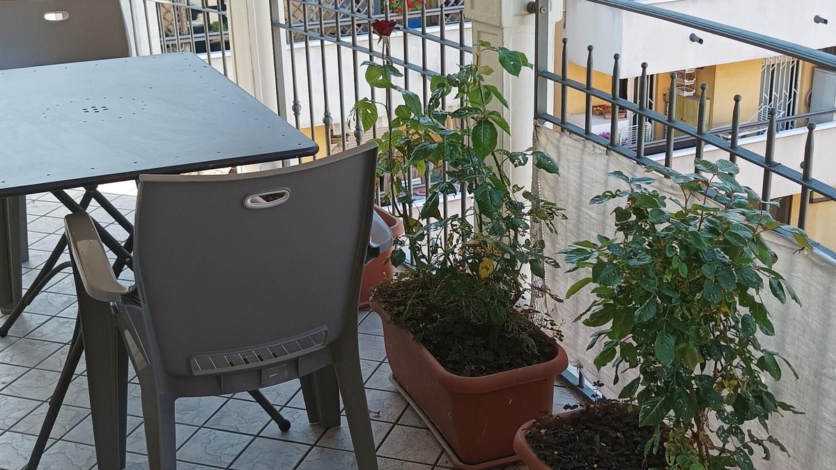 Rimini Apartment | Luna Apartment