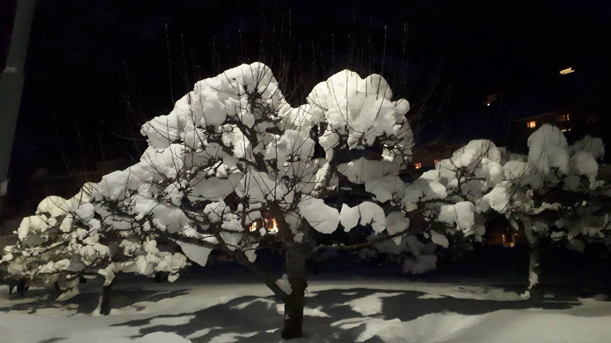 Geiranger House | Lunheim Accomodation