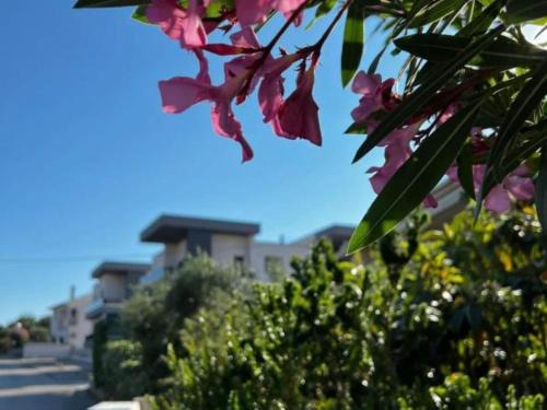 Krk Apartment | LuxArt City Spa Gallery Residence Krk- Duplex Apartment