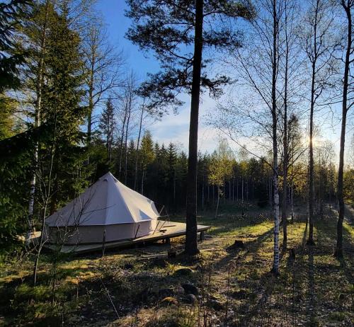 Grythyttan Other | Luxe tent met uitzicht op het bos en met Sauna en hottub
