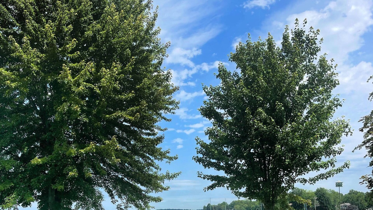 Orillia Cottage | Luxurious all season Lake Couchiching waterfront cottage