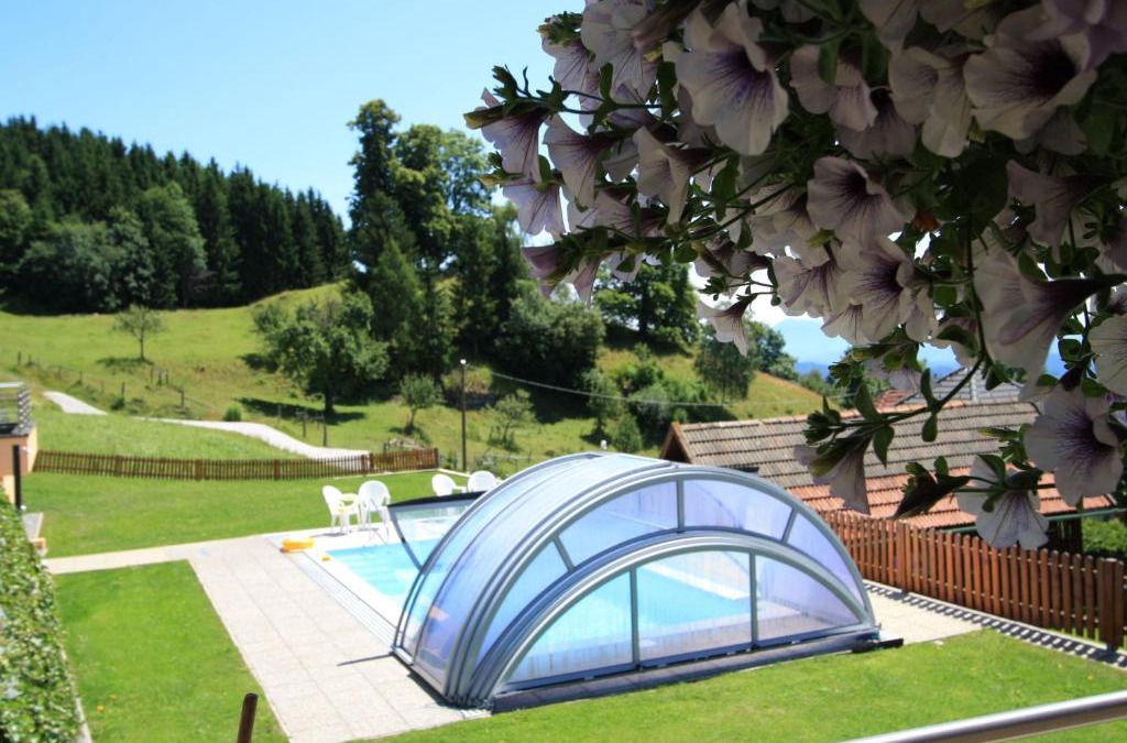 Liebenfels Apartment | Luxurious Apartment in Liebenfels with Swimming Pool