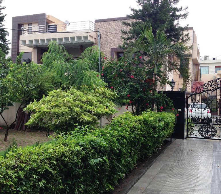 Chandigarh Bed & Breakfast | Luxurious Homestay- Chandīgarh