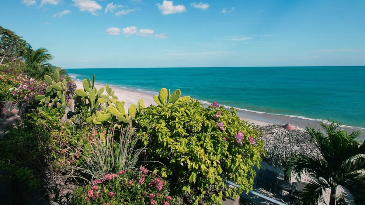 Boca Corona Apartment | LUXURIOUS OCEANFRONT APARTMENT - CONCH SUITE