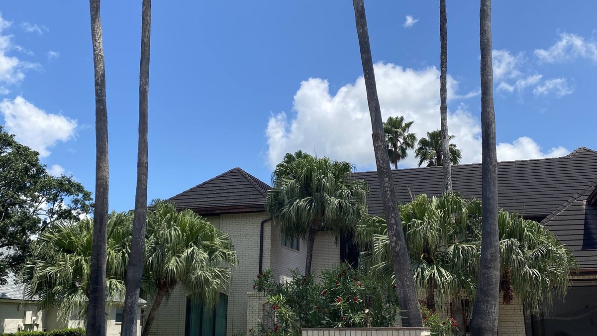 Harlingen Villa | Luxurious villa near South Padre Island and Mexico. Sleeps 12+ w/pool & hot tub!