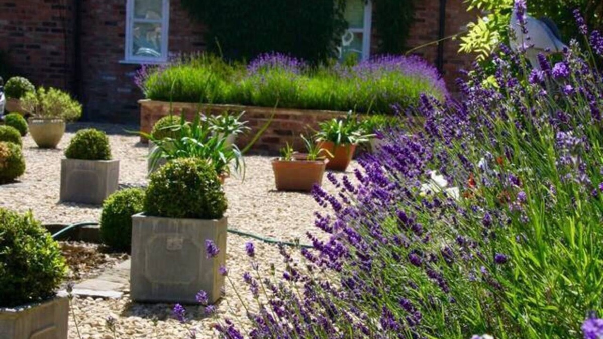 Macclesfield Cottage | Luxury Accom With Pool Henbury Macclesfield