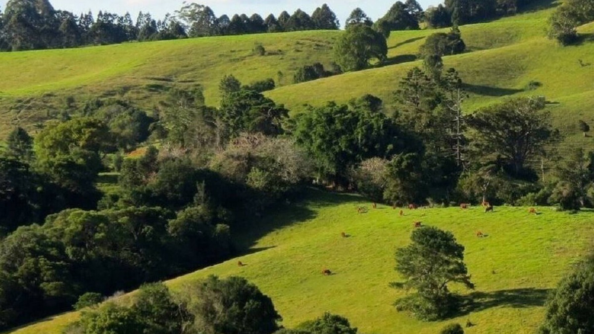 Montville Bed & Breakfast | Luxury Accommodation - Lewis
