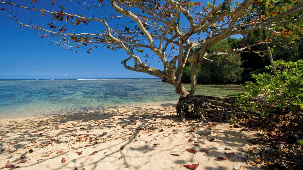 Princeville House | Luxury Beachfront Home on Beautiful Anini Beach! TVR 5079 TVR 5080