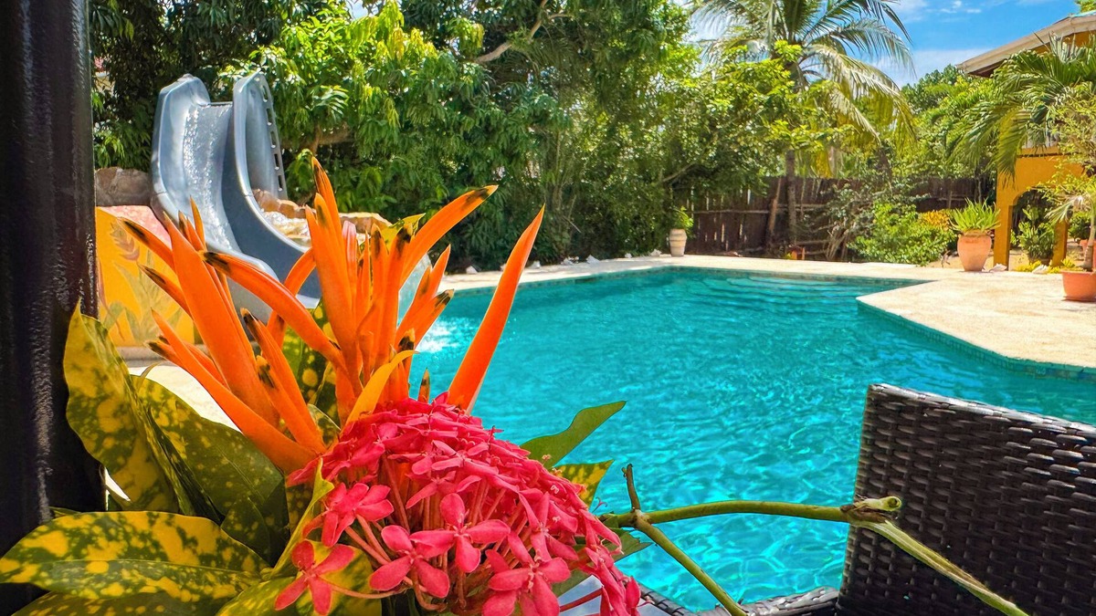 Sittee River Village Bed & Breakfast | Luxury Bed And Breakfast With Pool