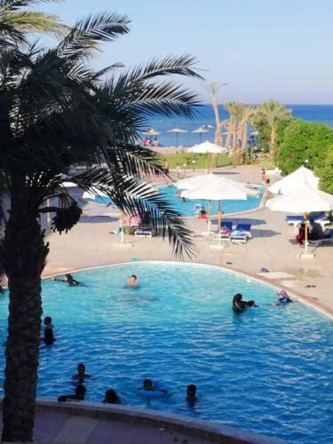 Village Road Apartment | Luxury cecelia resort hotel