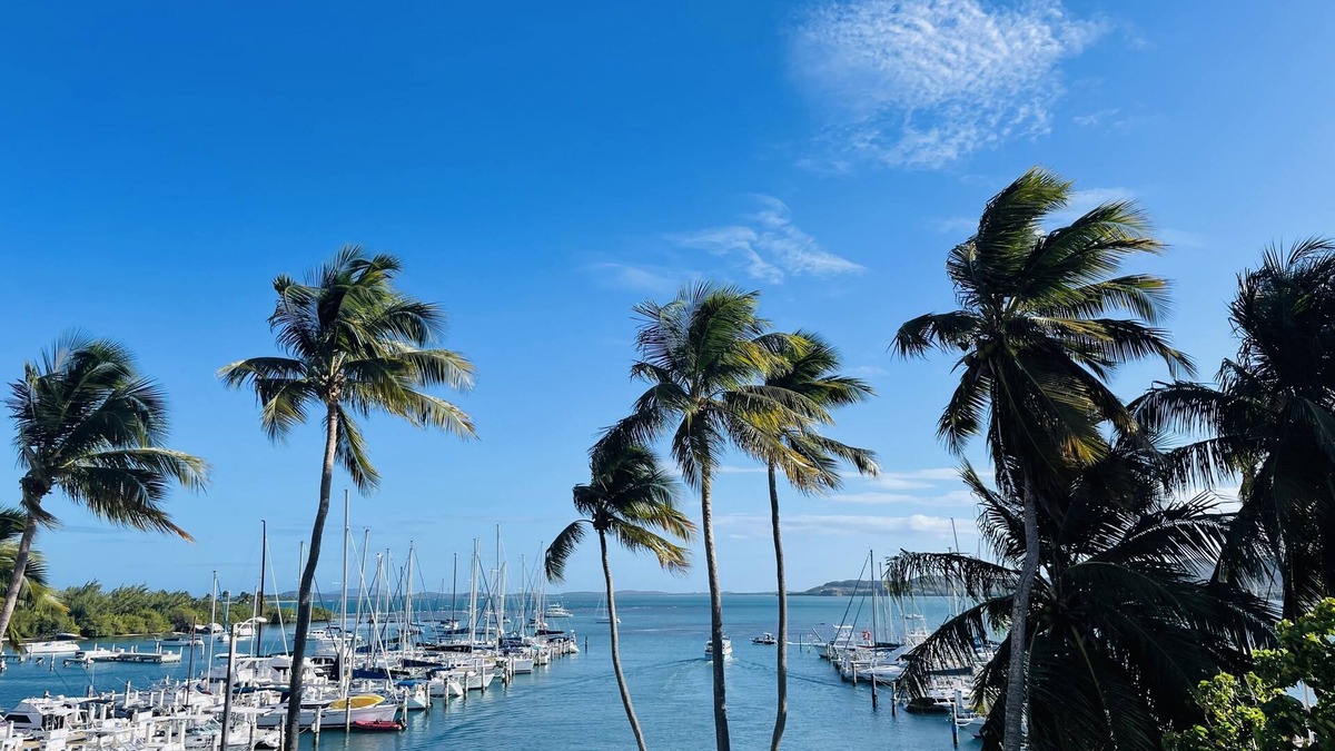 Demajagua Apartment | Luxury/Cozy 1-bedroom apartment in adorable Marina View Isleta Marina, Fajardo